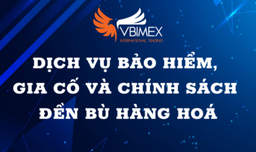Các gói bảo hiểm và dịch vụ gia cố thêm VBIMEX