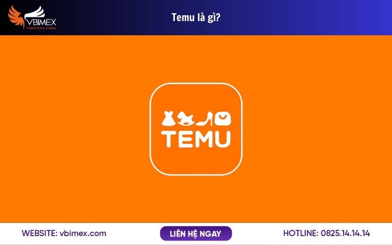 Temu là gì? Tìm hiểu về nền tảng mua sắm trực tuyến nổi bật hiện nay